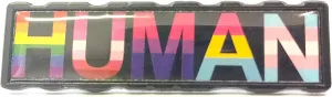 Applicable Pun Human LGBT Flags Rainbow Lesbian Bisexual Pansexual Transgender Enamel Pin - Lapel or Fabric Pin