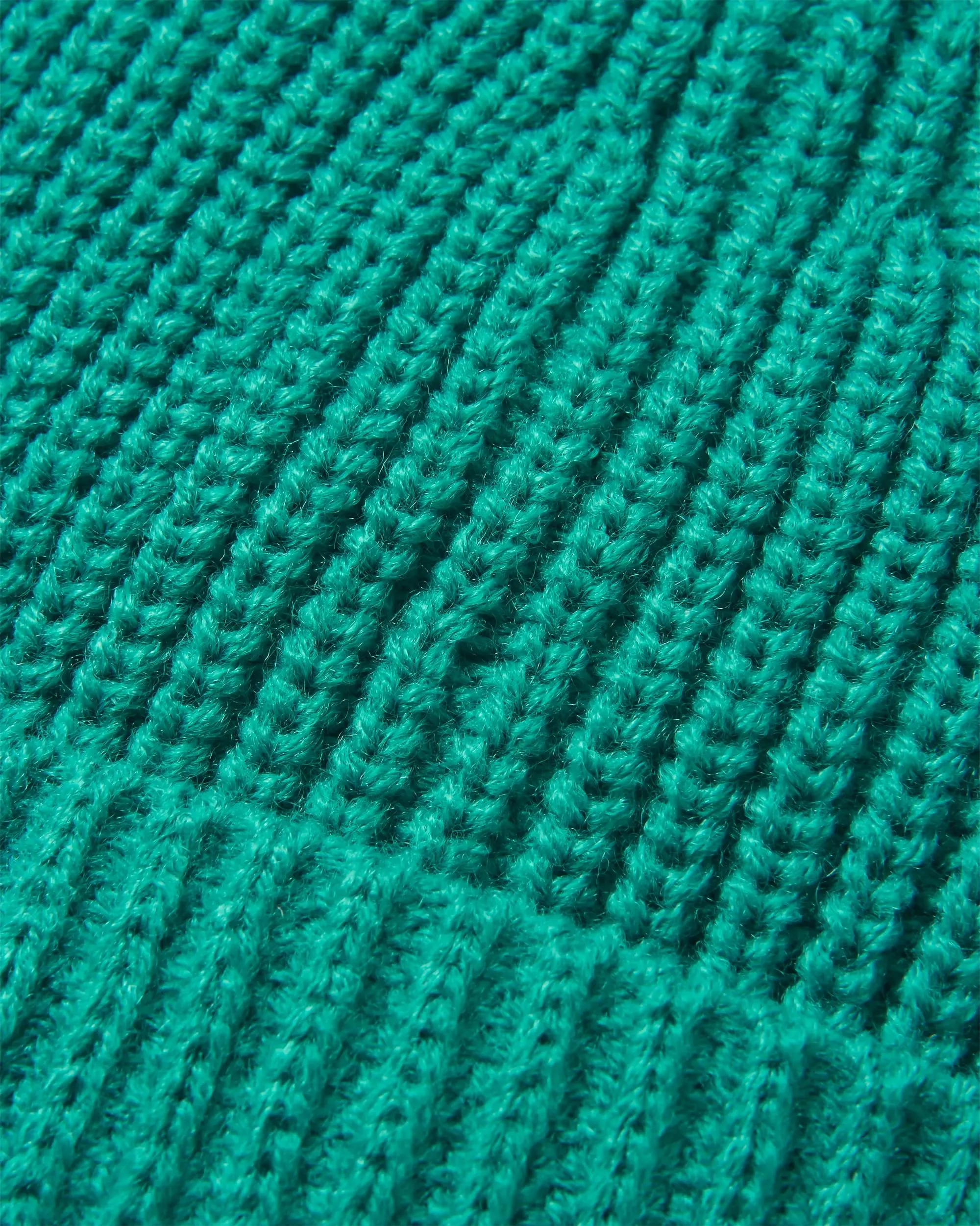 Compass Recycled Beanie - Greenlake