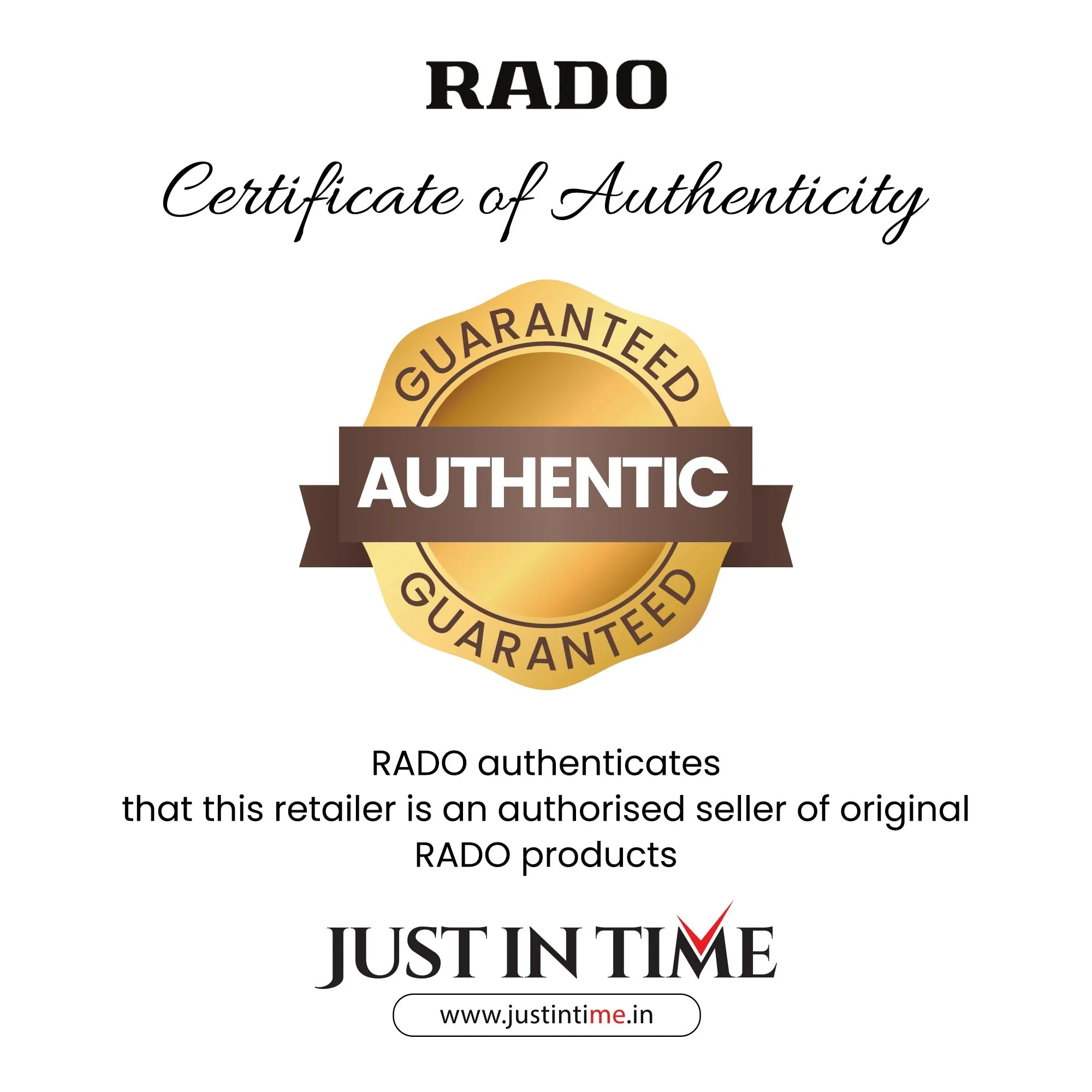 The Original Automatic Men Analog Stainless Steel Watch R12413073